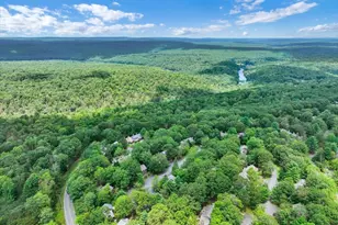 95 Telemark, Lake Harmony, PA 18624 - Photo 49