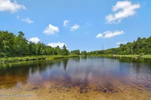 2112 Trout Pond Ct, Pocono Pines, PA 18350 - Photo 59