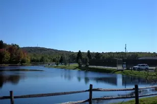 323 Orono Dr, Pocono Lake, PA 18347 - Photo 29