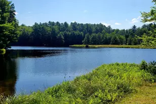 157 Bernadette Dr, Dingmans Ferry, PA 18328 - Photo 1