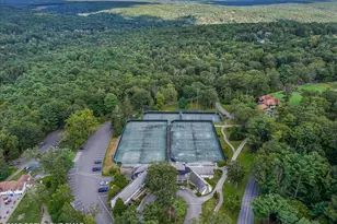 119 Falls Dr, Buck Hill Falls, PA 18323 - Photo 69