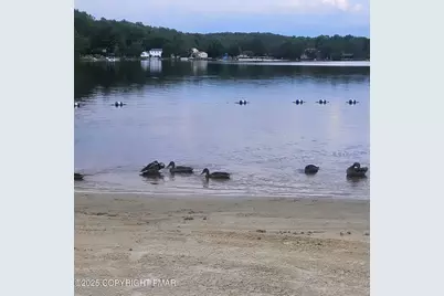  207 Pima Place, Pocono Lake, PA 18347 - Photo 69