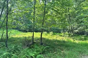 Timber Hill Rd 3C, Henryville, PA 18332 - Photo 1