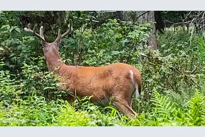  111 Clubhouse Dr 111 Court, East Stroudsburg, PA 18301 - Photo 1