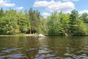 5202 Woodland Ave, Pocono Pines, PA 18350 - Photo 23