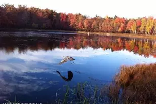 7 Wintergreen Trail, Albrightsville, PA 18210 - Photo 17