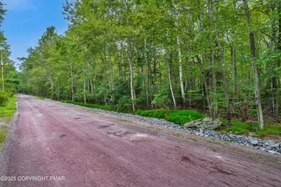  812 Beaver Run Road, Pocono Lake, PA 18347 - Photo 3