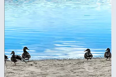  72 E Creek View Drive, Gouldsboro, PA 18424 - Photo 41