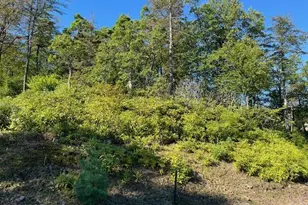 Skytop Rd, Pocono Pines, PA 18350 - Photo 1