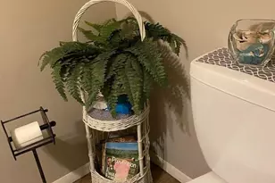 106 Burnshaw Ln, Albrightsville, PA 18210 - Photo 59