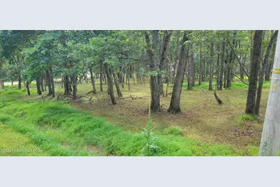  718 Chippewa Trail, Albrightsville, PA 18210 - Photo 7