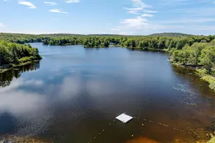 155 Lakewood Dr, Canadensis, PA 18325 - Photo 49