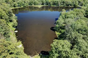 155 Lakewood Dr, Canadensis, PA 18325 - Photo 51