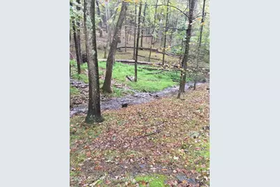  326 Otter Court, Bushkill, PA 18324 - Photo 47