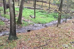 326 Otter Ct, Bushkill, PA 18324 - Photo 47