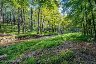 262 Lower Swiftwater Rd, Cresco, PA 18326 - Photo 11