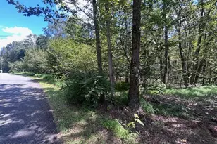 Lot 20Alas Piney Woods Dr, Jim Thorpe, PA 18229 - Photo 3