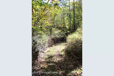  465 Pensyl Creek Road, Stroudsburg, PA 18360 - Photo 47