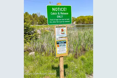  255 Birch Drive, Blakeslee, PA 18610 - Photo 61