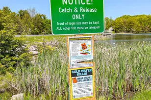 255 Birch Dr, Blakeslee, PA 18610 - Photo 61