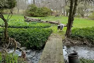 1153 Milford Rd, Dingmans Ferry, PA 18328 - Photo 3