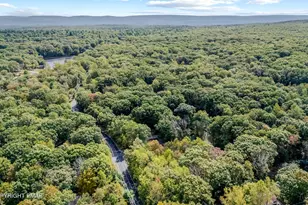 104 Lakeview Dr, Dingmans Ferry, PA 18328 - Photo 35