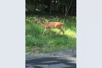  Lot 155 Tink Wig Drive, Hawley, PA 18428 - Photo 3