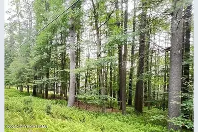  Lot 155 Tink Wig Drive, Hawley, PA 18428 - Photo 11