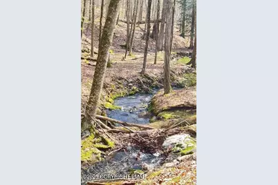  Lot 155 Tink Wig Drive, Hawley, PA 18428 - Photo 9