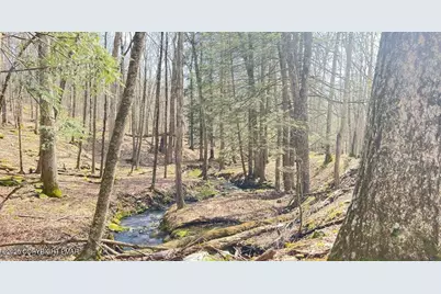  Lot 155 Tink Wig Drive, Hawley, PA 18428 - Photo 1