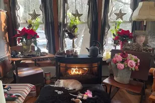 642 Tulip Tree Ln, Cresco, PA 18326 - Photo 5