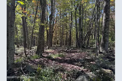  Winona Rd 21, Mount Pocono, PA 18344 - Photo 5