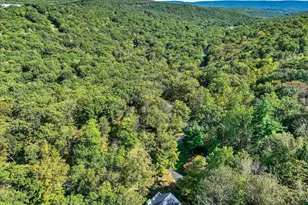 3118 Cherry Ridge Rd, Bushkill, PA 18324 - Photo 51