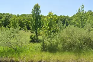 45022 Lr (Mountain Road), Stroudsburg, PA 18360 - Photo 1