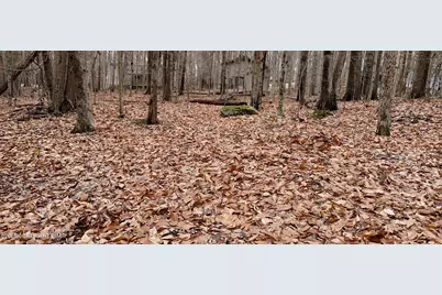  164 Mountain View Dr #1007 Drive, Pocono Lake, PA 18347 - Photo 1