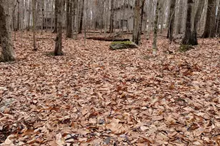 164 Mountain View Dr #1007 Dr, Pocono Lake, PA 18347 - Photo 1