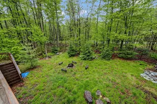 3207 Green Meadow Cir, Pocono Pines, PA 18350 - Photo 61