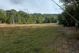 63 Slalom Way, Tannersville, PA 18372 - Photo 45