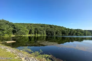 169 Saunders Dr, Bushkill, PA 18324 - Photo 81