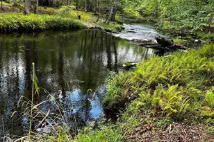 169 Saunders Dr, Bushkill, PA 18324 - Photo 83