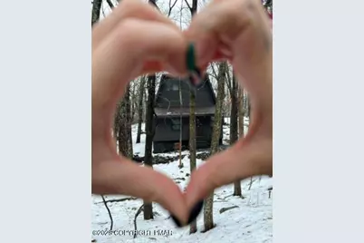  169 Saunders Drive, Bushkill, PA 18324 - Photo 3