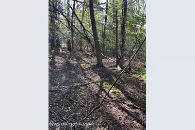  114 Riverside Drive, Greentown, PA 18426 - Photo 13