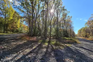 H570 Cross Run Road & Engler Ln, Jim Thorpe, PA 18229 - Photo 5