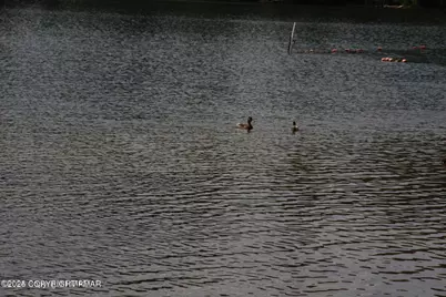  133 Mountain Drive, Greentown, PA 18426 - Photo 43