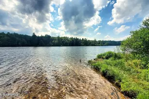 133 Mountain Dr, Greentown, PA 18426 - Photo 33