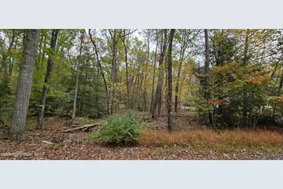  A465 Redwood Drive, Jim Thorpe, PA 18229 - Photo 1