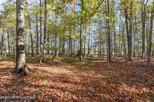 Cygnus Rd, Lake Ariel, PA 18436 - Photo 1