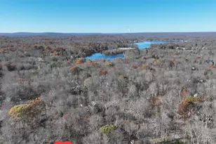 135 Sitka Dr, Pocono Lake, PA 18347 - Photo 83