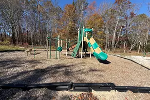 135 Sitka Dr, Pocono Lake, PA 18347 - Photo 49