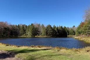 135 Sitka Dr, Pocono Lake, PA 18347 - Photo 63